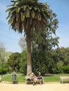 Barcelona, Spain - 4 April 2011: Two gray-haired mature men are sitting on the bench under tall palm tree in park and talking