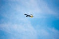 BARCELONA, SPAIN - AUGUST 20, 2016: Airplane Monarch Airbus 321 in the sky. The monarch is a British airline. Copy space.