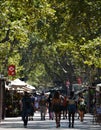 Barcelona, Spain, August 8, 2020: Crowd ot tourists wearing protective medical masks for prevent virus Covid-19 in Barcelona,