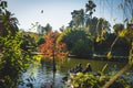 Barcelona, Spain - 24.11.2018: Beautiful day in Ciutadella Park, view of green trees and a boat with people in a small lake from