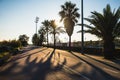 Barcelona, Spain - 05.12.2018: Beautiful sunset seen from a street with many palm trees Royalty Free Stock Photo