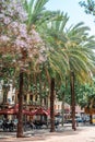 Exotic Architecture And Tropical Street Palm Trees Downtown Barcelona City