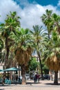 Exotic Architecture And Tropical Street Palm Trees Downtown Barcelona City Royalty Free Stock Photo