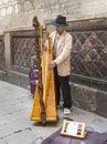 Unknown street harpist on one of the streets Royalty Free Stock Photo