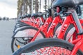 BARCELONA, SPAIN - MARCH 13: Line of red bicycles available for rental on the street of Barcelona city