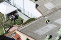 Worker fixing a water leak on a roof