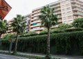 BARCELONA, SPAIN - OCTOBER 15, 2018: Modern Spanish streets in Barcelona. City life. Beautiful green palm trees and ivy on the