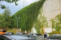 BARCELONA, SPAIN - OCTOBER 15, 2018: Modern Spanish streets in Barcelona. City life. Beautiful ivy on the walls