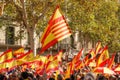 Barcelona, Spain. October 8, 2023. People waving the Spanish flag in a demonstration for unity against separatism and amnesty