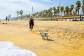 BARCELONA, SPAIN - OCTOBER 15, 2018: Woman walking with dog on the Barcelona beach. Summer vacations travel. Barceloneta on sunny Royalty Free Stock Photo