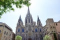 Barcelona, Spain - scenic view of the Cathedral of the Holy Cross and Saint Eulalia