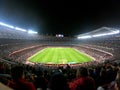 BARCELONA STADIUM, SPAIN, january 2019, People at Camp Nou watching football match