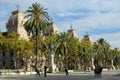 Barcelona street with palm trees Royalty Free Stock Photo