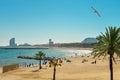 Barceloneta Beach and Hotel Vela