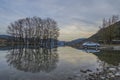 Swamp and a travel saloon car reflected in the water, Ford Mondeo Mk3 Royalty Free Stock Photo