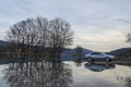 Swamp and a travel saloon car reflected in the water, Ford Mondeo Mk3 Royalty Free Stock Photo