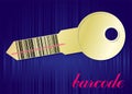Barcode key Royalty Free Stock Photo