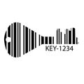 Barcode set the shape to the key, concept of successful.
