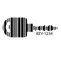 Barcode set the shape to the key, concept of successful.