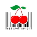 Barcode. Vector illustration. Royalty Free Stock Photo