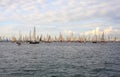 Barcolana regatta, Trieste Royalty Free Stock Photo