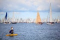Barcolana regatta in Trieste Royalty Free Stock Photo