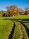 Barden Bridge on the River Wharfe in the Yorkshire Dales Royalty Free Stock Photo