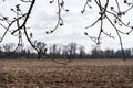 Bare agricultural field resting for next copping season