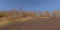 Bare birch trees and shrubs on on top of a spoil tip in Wallonia