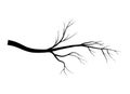 Bare branch tree silhouette vector symbol icon design. Beautiful illustration isolated on white background