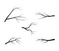 Bare branch tree silhouette vector symbol icon design. Beautiful illustration on white background