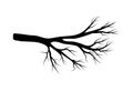 Bare branch vector symbol icon design. Beautiful illustration is Royalty Free Stock Photo