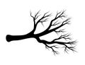 Bare branch vector symbol icon design. Beautiful illustration is Royalty Free Stock Photo