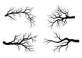 Bare branch winter set design isolated on white background Royalty Free Stock Photo