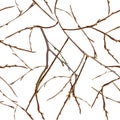 Bare branches without leaves. Late autumn seamless pattern