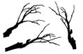 Bare branches of rowan tree silhouette. Vector illustration Royalty Free Stock Photo