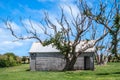 Bare branches tree and barn at Highfield Historic site in Stanley, Tasmania, Australia Royalty Free Stock Photo