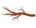 Bare brown tree branch without leaves isolated on white background. Autumn or winter branch. Royalty Free Stock Photo