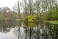 Bare and budding trees reflected in the lake Royalty Free Stock Photo
