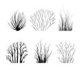 Bare bush silhotes set, leafless bushes isolated on whiteuet