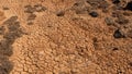 Bare parched land with crackles Royalty Free Stock Photo