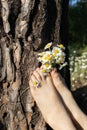 bare feet of child on bark of tree with bouquet of wild daisies between toes. joy, pampering, positive Royalty Free Stock Photo