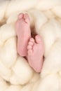 Bare feet of a cute newborn baby in warm white blanket. Childhood.