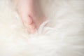 Bare feet of a cute newborn baby in warm white blanket. Childhood. Small bare feet of a little baby girl or boy. Royalty Free Stock Photo