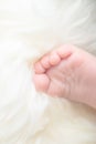 Bare feet of a cute newborn baby in warm white blanket. Childhood. Small bare feet of a little baby girl or boy. Royalty Free Stock Photo