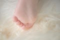 Bare feet of a cute newborn baby in warm white blanket. Childhood. Small bare feet of a little baby girl or boy.