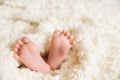 Bare feet of a cute newborn baby in warm white blanket. Childhood. Small bare feet of a little baby girl or boy. Royalty Free Stock Photo