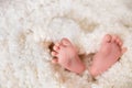 Bare feet of a cute newborn baby in warm white blanket. Childhood. Small bare feet of a little baby girl or boy Royalty Free Stock Photo