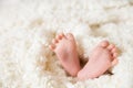 Bare feet of a cute newborn baby in warm white blanket. Childhood. Small bare feet of a little baby girl or boy