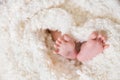 Bare feet of a cute newborn baby in warm white blanket. Childhood. Small bare feet of a little baby girl or boy Royalty Free Stock Photo